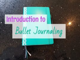 15190387110142063343031.jpg Bullet journal