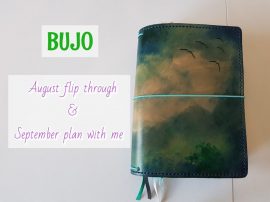 40684048_2044626842248278_7820143566268661760_n Bujo August flip through & September plan with me.